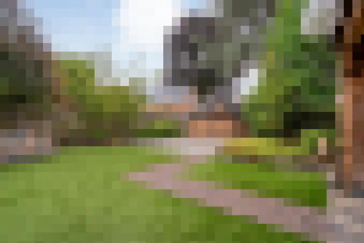 Hagslagen 163 Rijssen thumbnail 79
