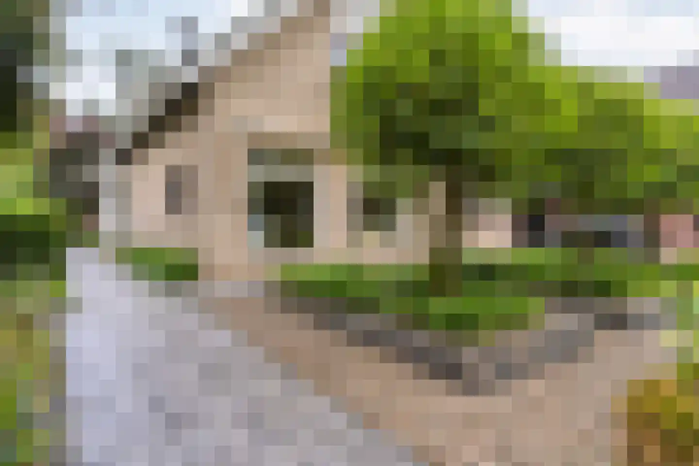 Hagslagen 163 Rijssen thumbnail 8