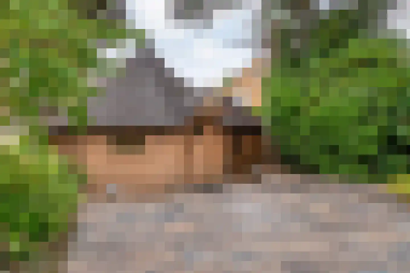 Hagslagen 163 Rijssen thumbnail 81