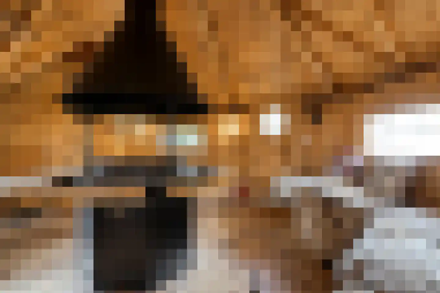 Hagslagen 163 Rijssen thumbnail 82