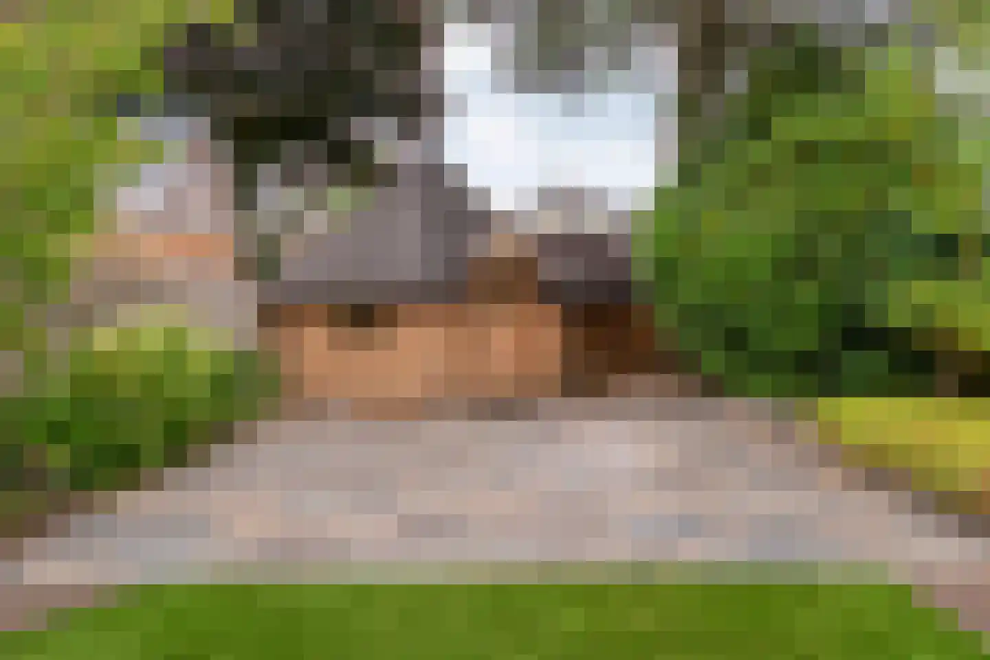 Hagslagen 163 Rijssen thumbnail 87