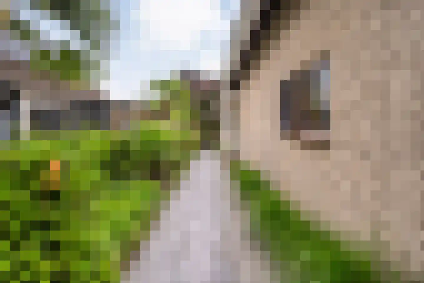 Hagslagen 163 Rijssen thumbnail 9