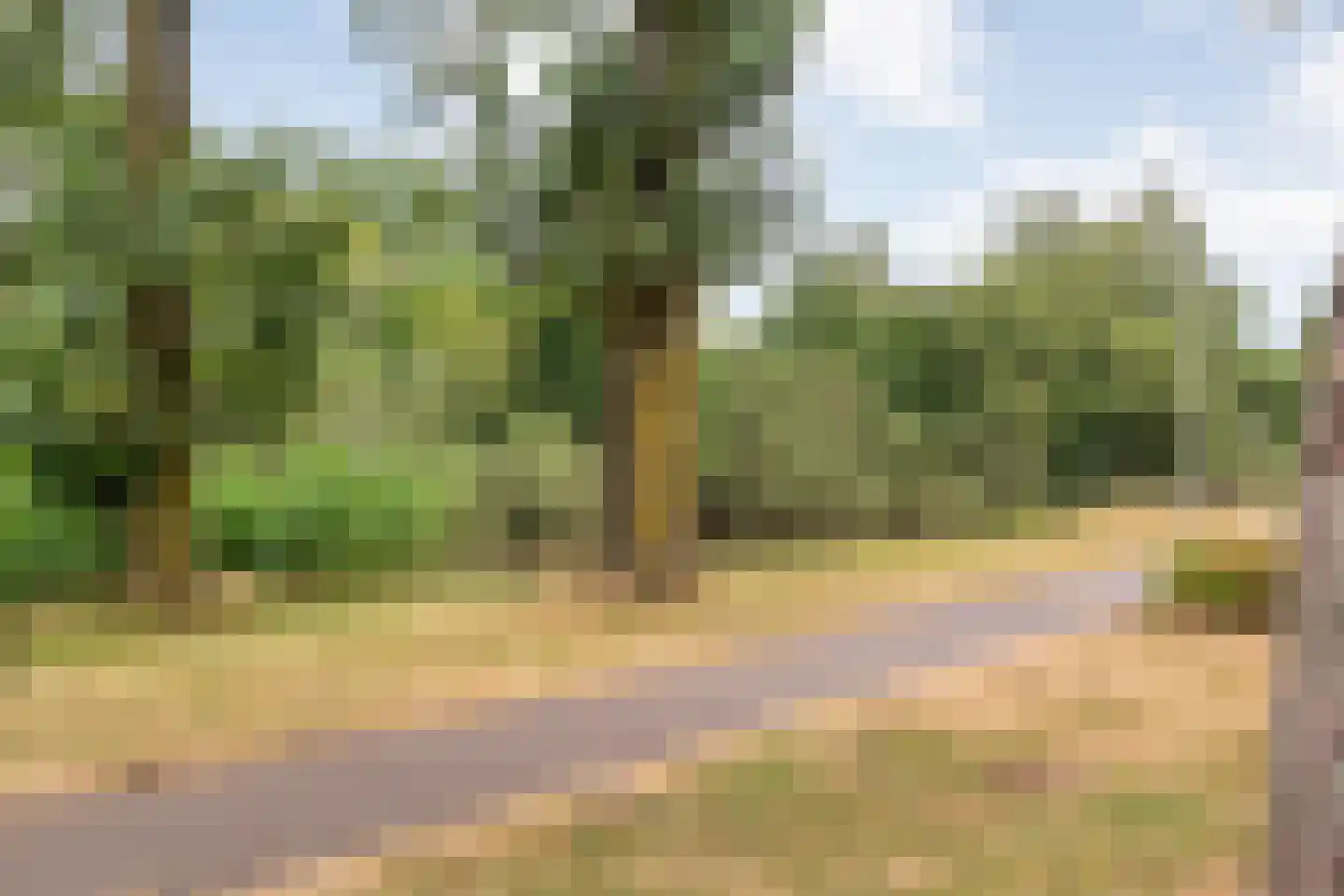 Hagslagen 163 Rijssen thumbnail 94