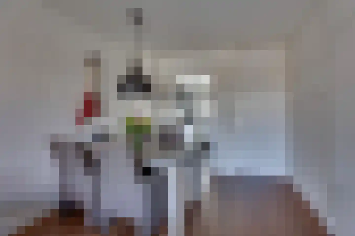 Hagslagen 178 Rijssen thumbnail 10