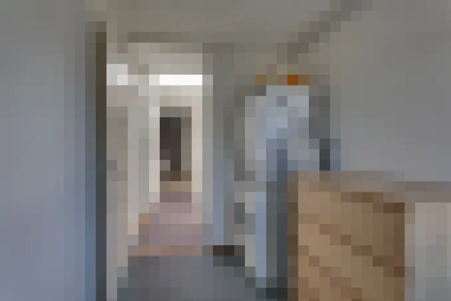 Hagslagen 178 Rijssen thumbnail 20