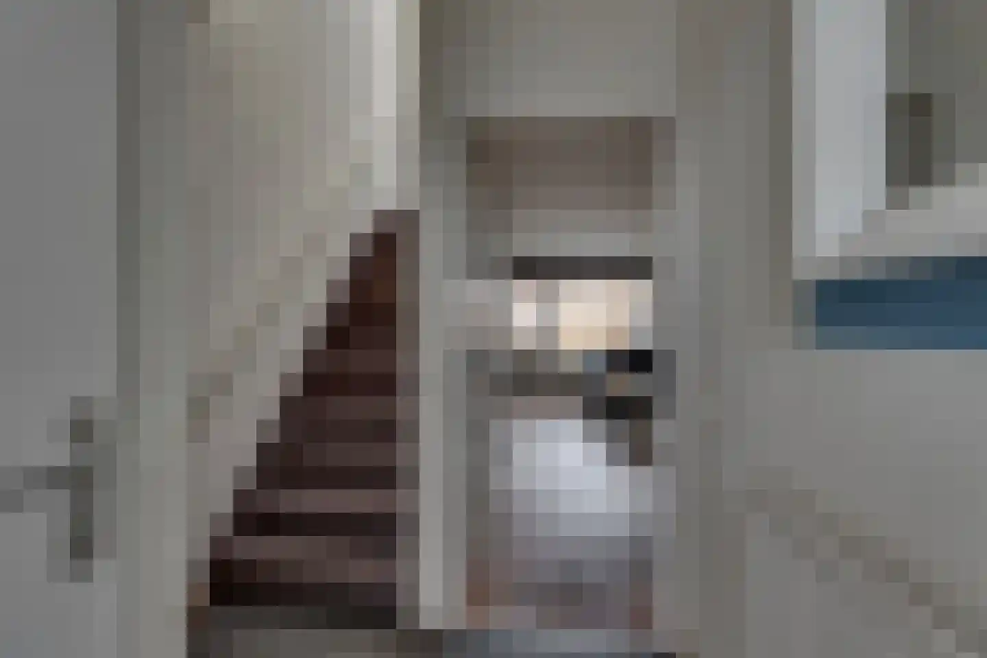 Hagslagen 178 Rijssen thumbnail 6