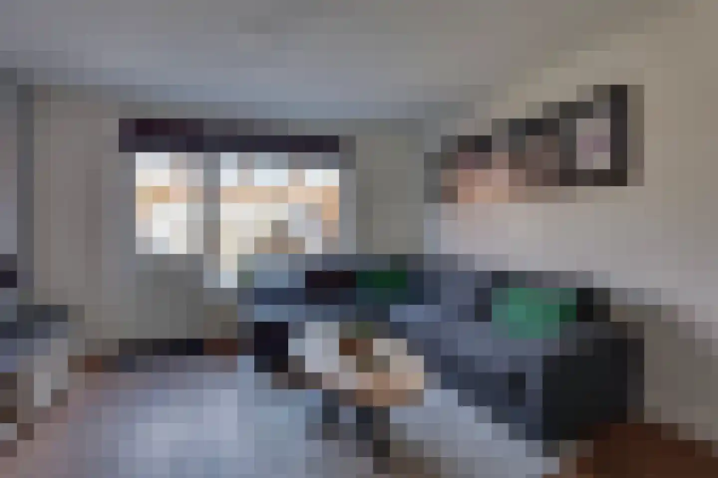 Hagslagen 178 Rijssen thumbnail 8