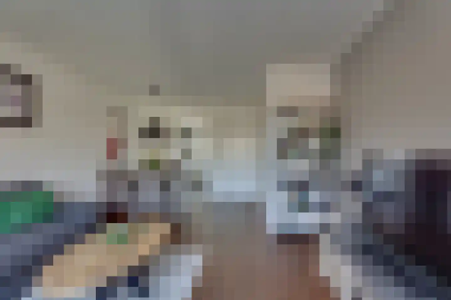 Hagslagen 178 Rijssen thumbnail 9
