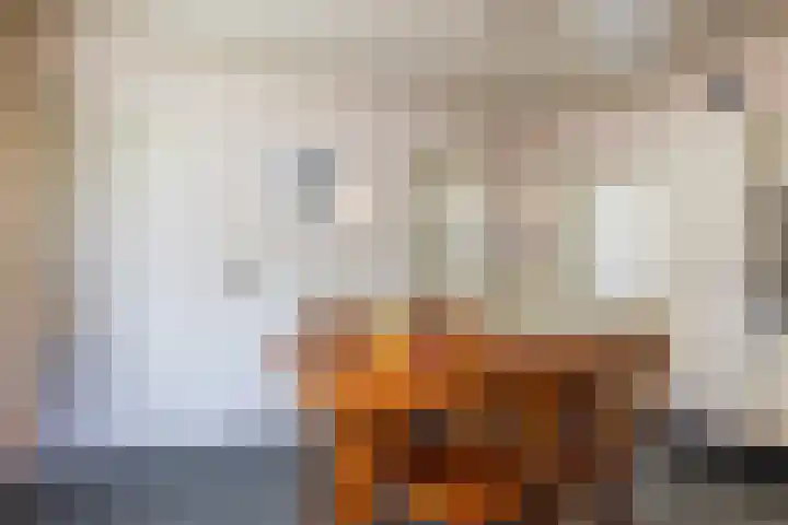 Hagslagen 38 Rijssen thumbnail 23