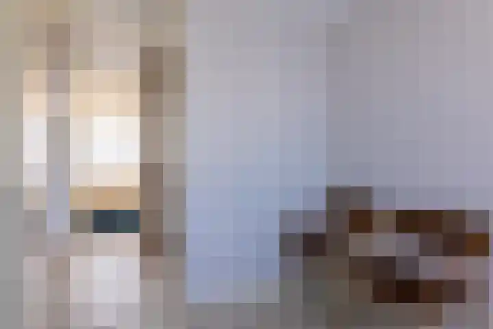 Hagslagen 38 Rijssen thumbnail 42