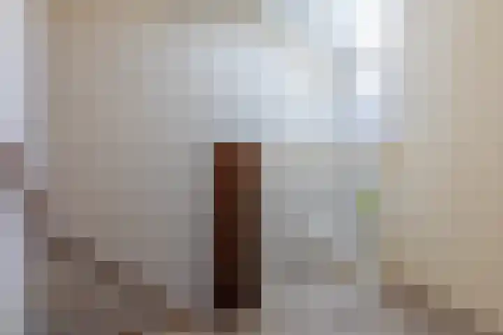 Hagslagen 38 Rijssen thumbnail 47