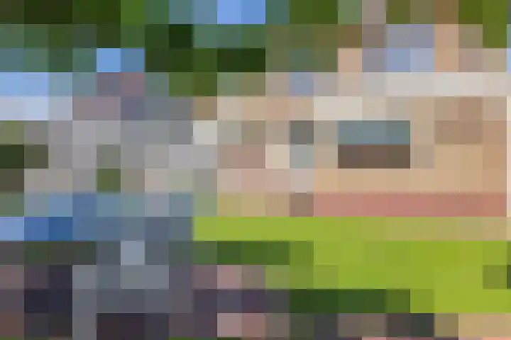 Hagslagen 38 Rijssen thumbnail 54