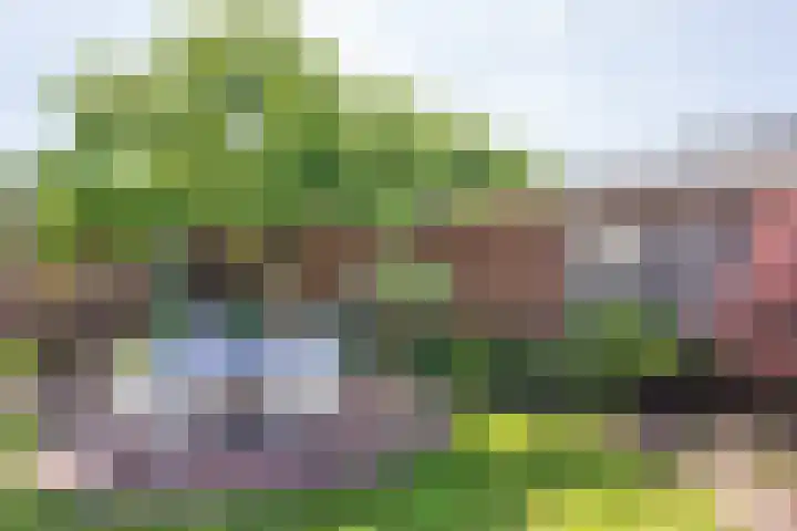 Hagslagen 38 Rijssen thumbnail 55