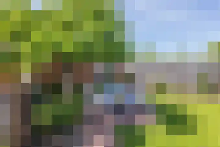 Hagslagen 38 Rijssen thumbnail 56