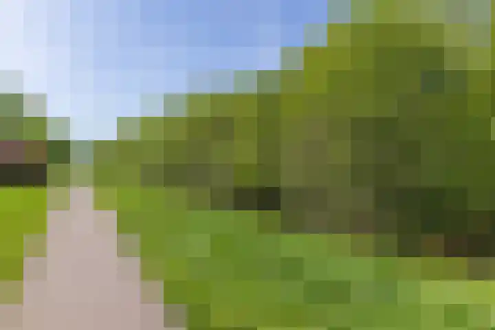 Hagslagen 38 Rijssen thumbnail 68