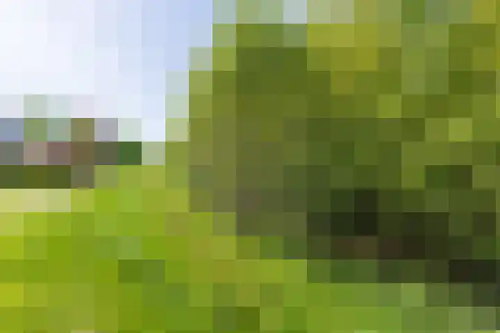 Hagslagen 38 Rijssen thumbnail 69