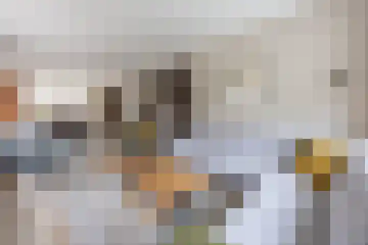 Hagslagen 44 Rijssen thumbnail 10