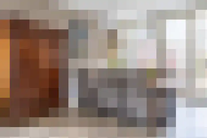 Hagslagen 44 Rijssen thumbnail 13
