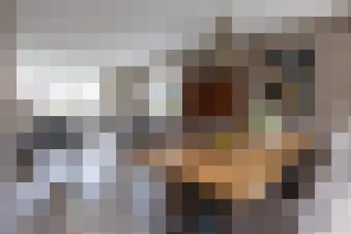 Hagslagen 44 Rijssen thumbnail 14