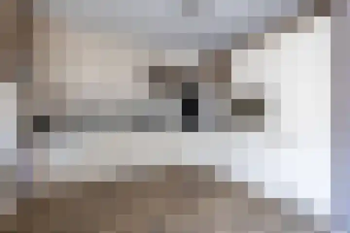 Hagslagen 44 Rijssen thumbnail 17