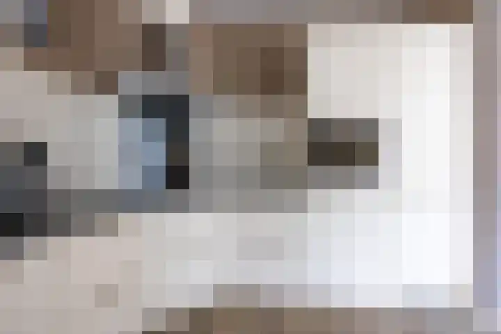 Hagslagen 44 Rijssen thumbnail 20