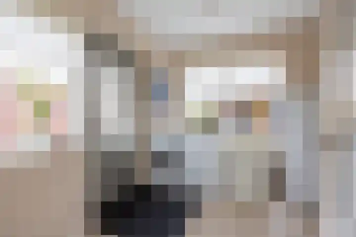 Hagslagen 44 Rijssen thumbnail 21