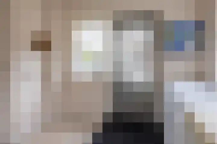 Hagslagen 44 Rijssen thumbnail 23