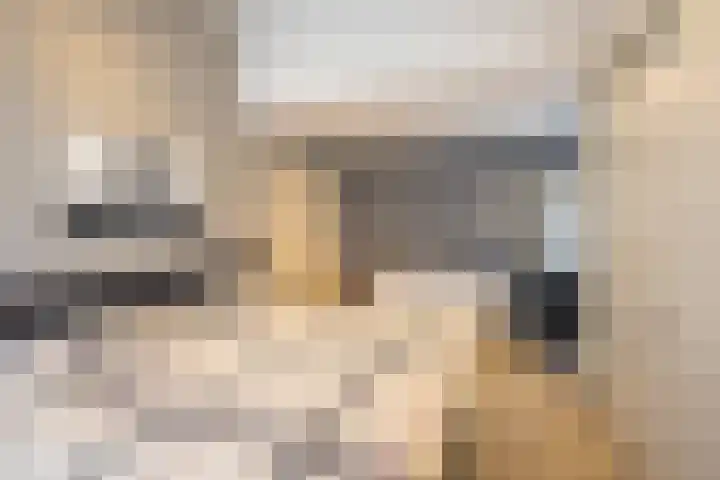 Hagslagen 44 Rijssen thumbnail 26
