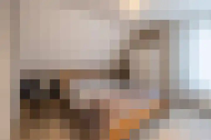 Hagslagen 44 Rijssen thumbnail 28