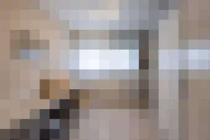 Hagslagen 44 Rijssen thumbnail 31