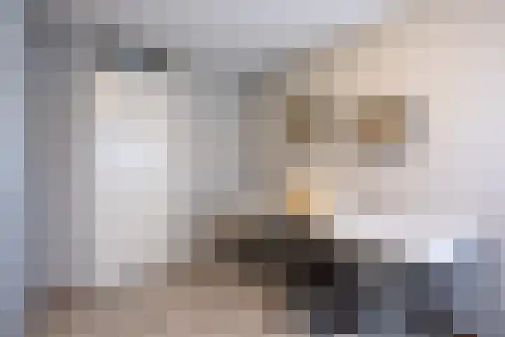 Hagslagen 44 Rijssen thumbnail 32