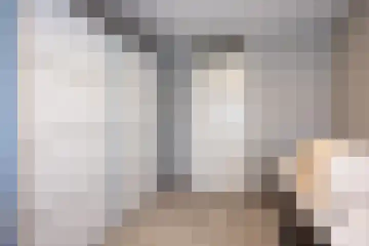 Hagslagen 44 Rijssen thumbnail 33