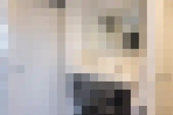 Hagslagen 44 Rijssen thumbnail 36