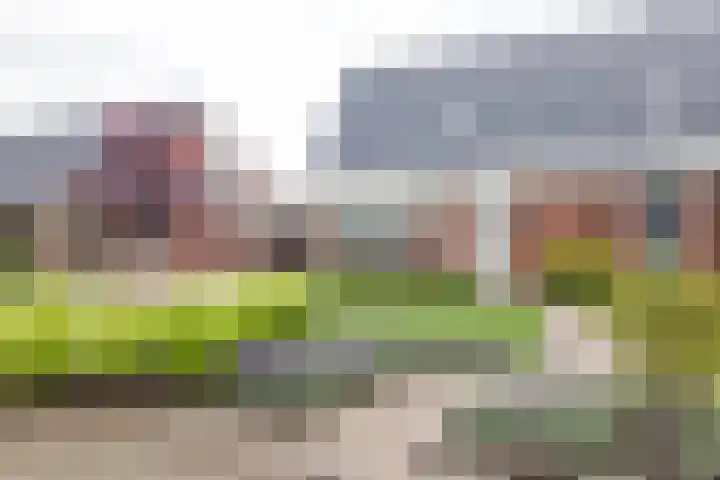 Hagslagen 44 Rijssen thumbnail 4