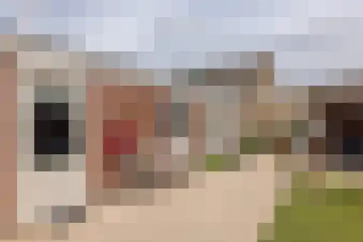 Hagslagen 44 Rijssen thumbnail 40