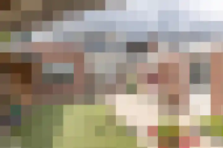 Hagslagen 44 Rijssen thumbnail 42