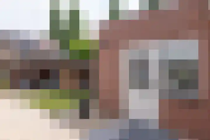 Hagslagen 44 Rijssen thumbnail 43