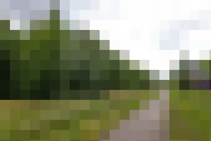 Hagslagen 44 Rijssen thumbnail 44