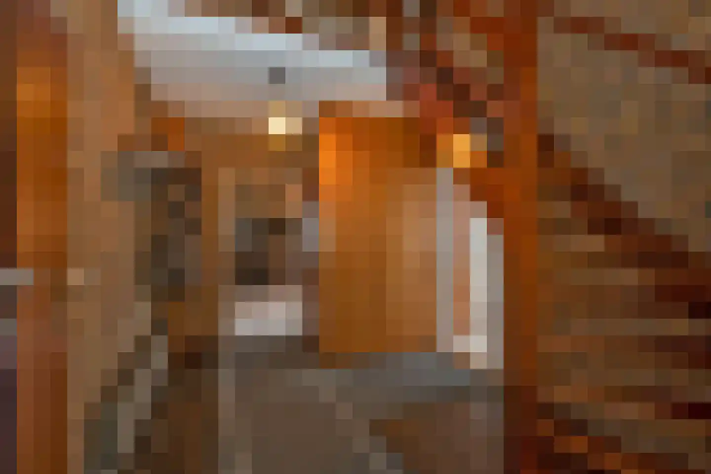 Hagslagen 7 Rijssen thumbnail 12