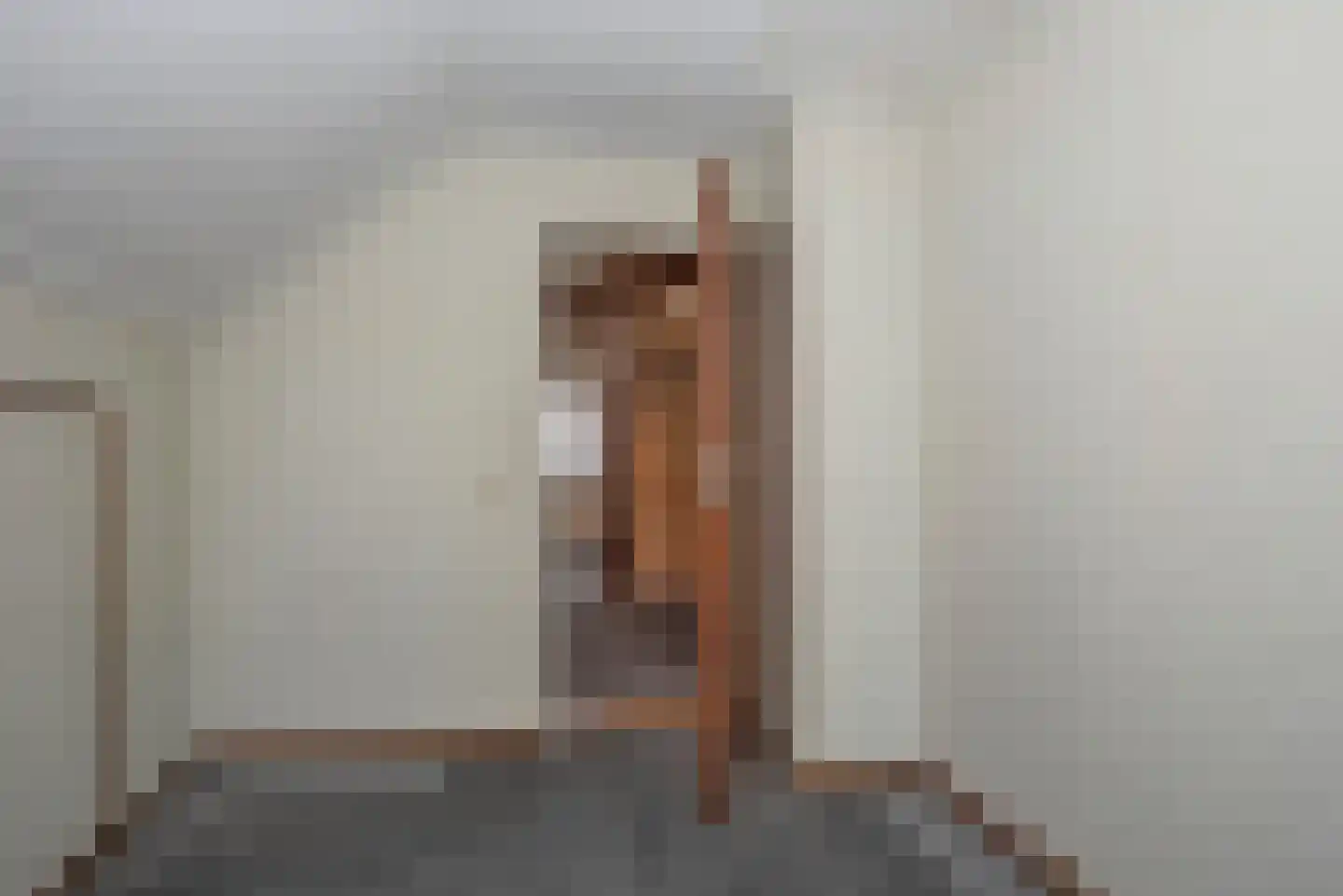 Hagslagen 7 Rijssen thumbnail 16