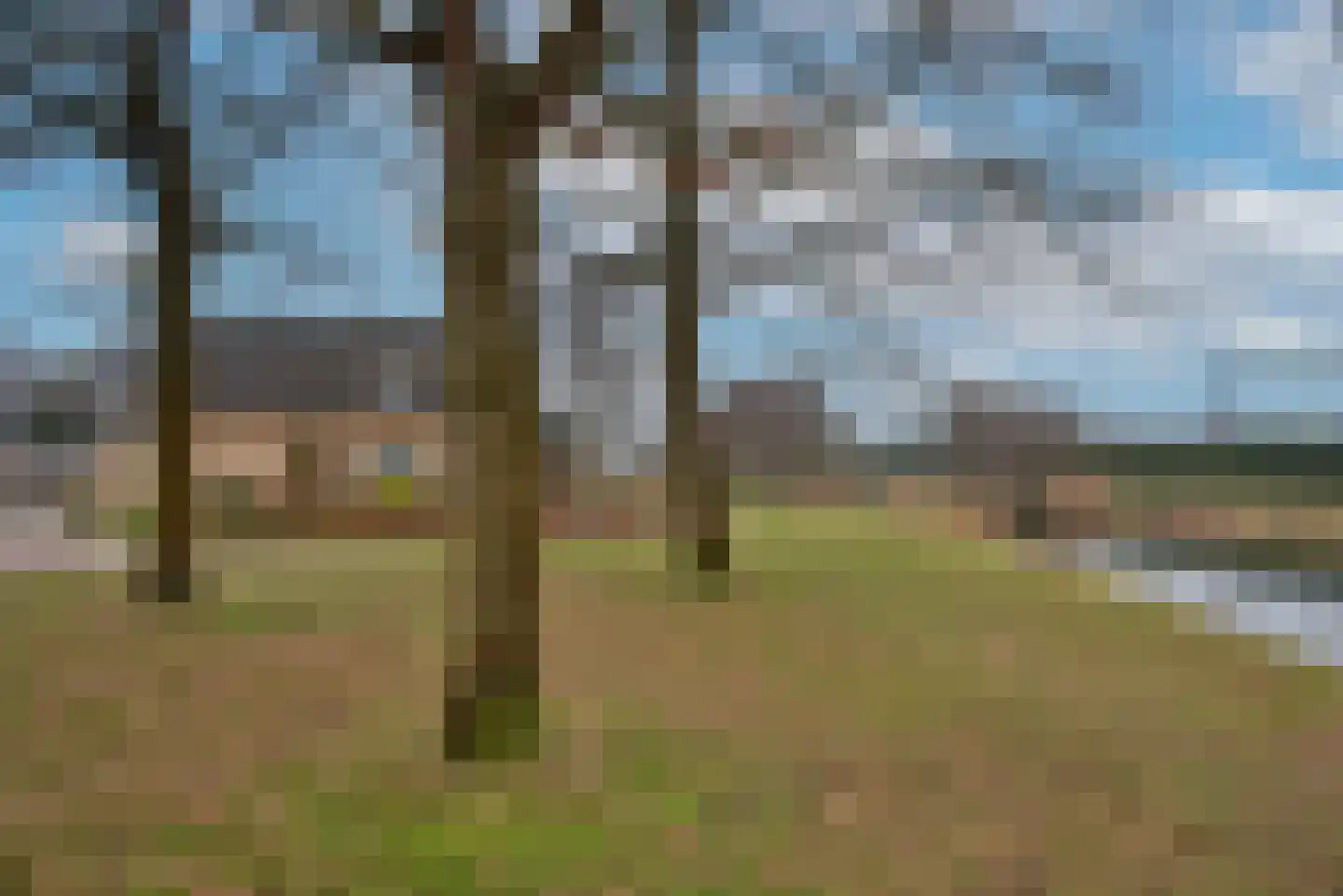 Hagslagen 7 Rijssen thumbnail 32