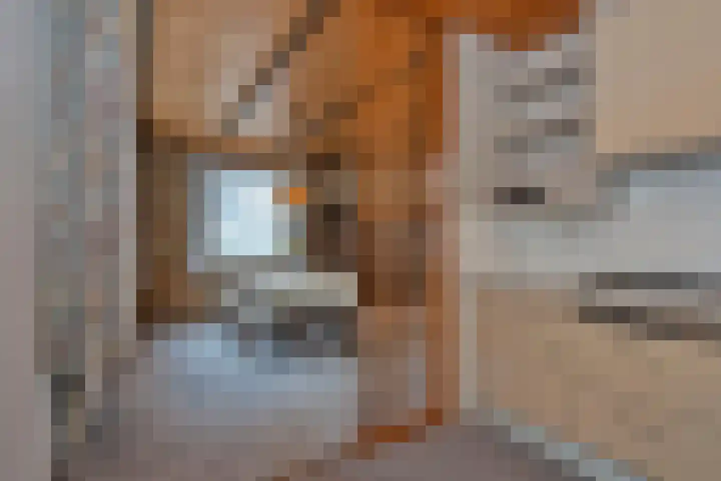 Hagslagen 7 Rijssen thumbnail 8