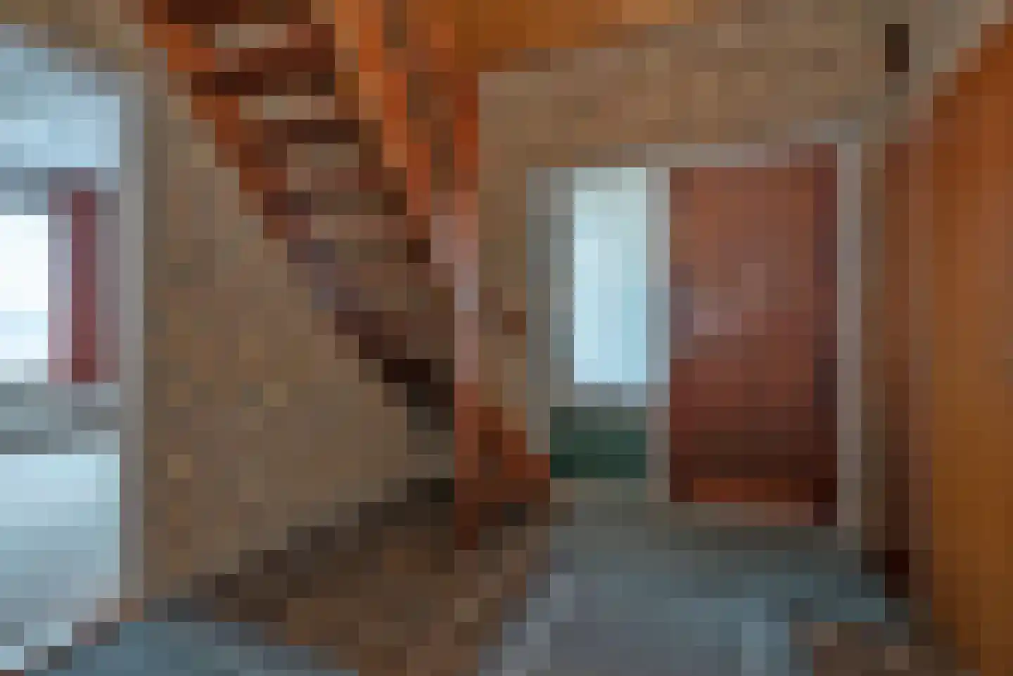 Hagslagen 7 Rijssen thumbnail 9