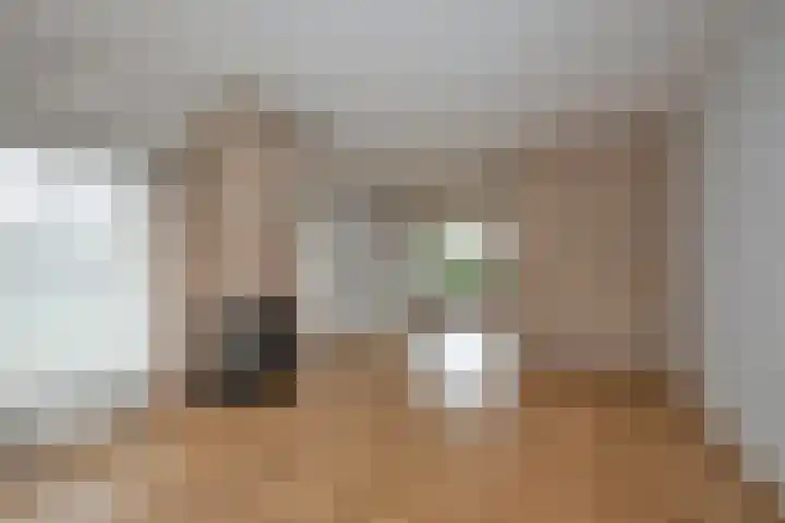 Hagslagen 75 Rijssen thumbnail 11