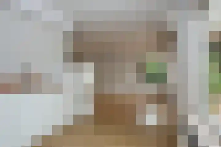 Hagslagen 75 Rijssen thumbnail 13