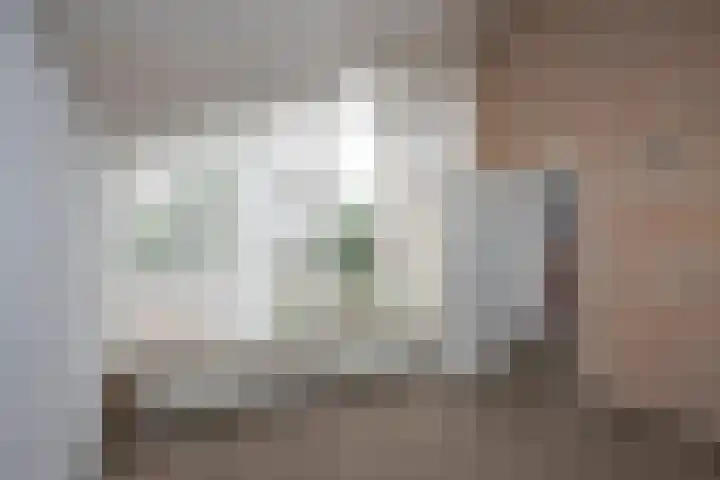 Hagslagen 75 Rijssen thumbnail 16