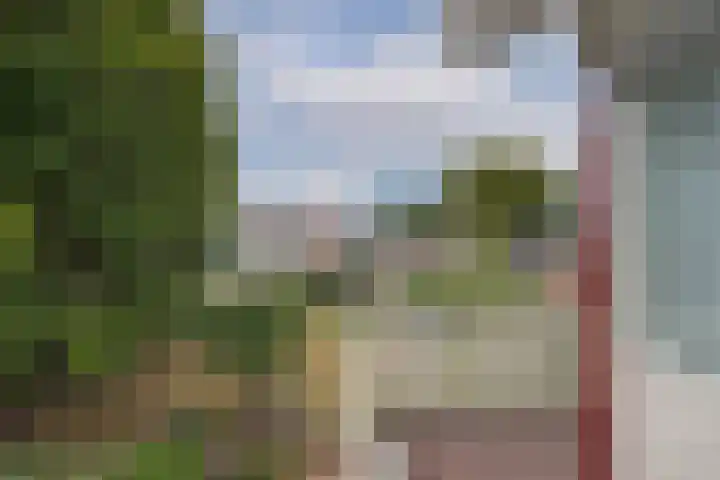 Hagslagen 75 Rijssen thumbnail 25