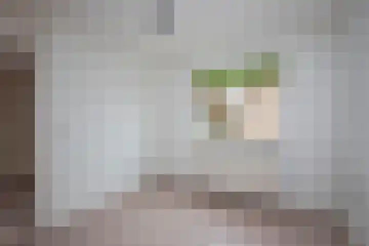Hagslagen 75 Rijssen thumbnail 26