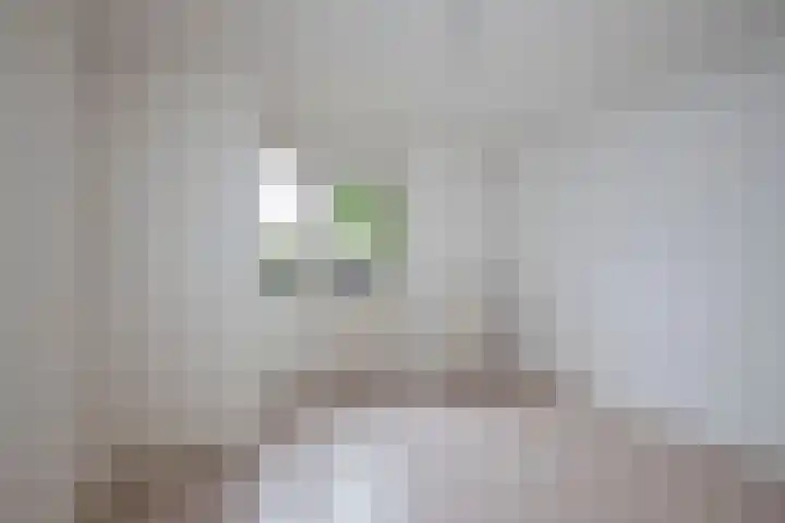 Hagslagen 75 Rijssen thumbnail 28