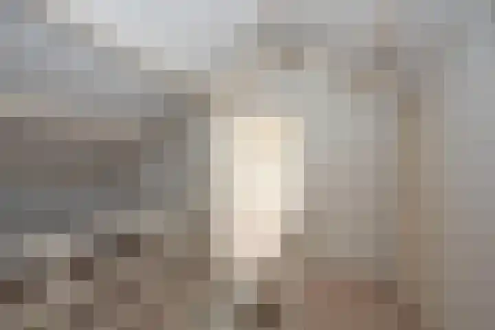 Hagslagen 75 Rijssen thumbnail 33